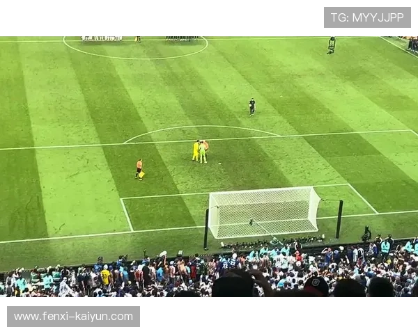 世界杯风云再起：全球球迷热血追逐绿茵赛场荣耀瞬间